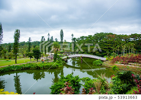 沖縄　東南植物楽園　水上楽園の池 53913663