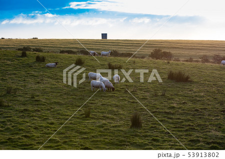 Landscape in Northern Ireland 53913802
