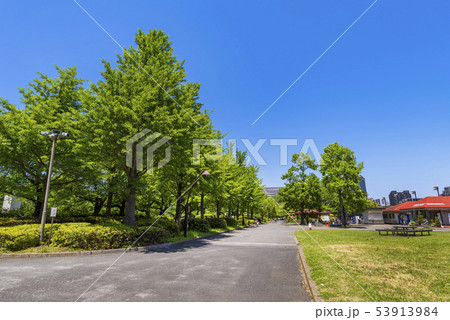 猿江恩賜公園の風景 53913984