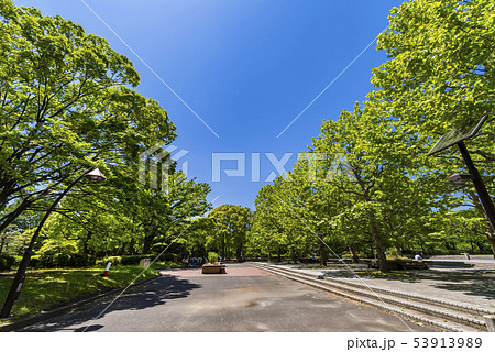 猿江恩賜公園の風景 53913989