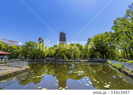 猿江恩賜公園の風景 53913997