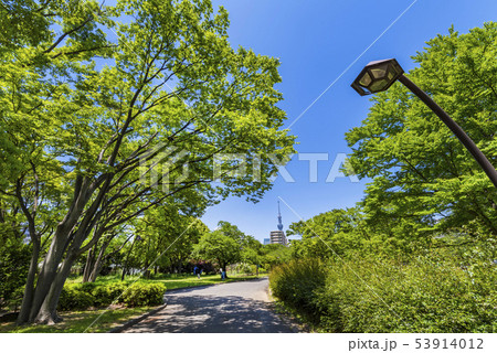 猿江恩賜公園の風景 53914012
