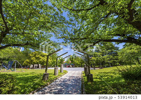 猿江恩賜公園の風景 53914013