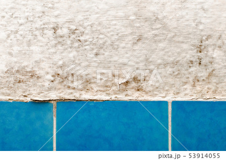 moldy wall in bathroom with blue tile closeup moldy wall in bathroom with blue tile closeup 53914055