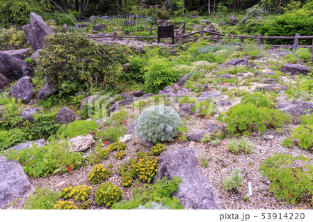 六甲高山植物園 六甲高山植物園 53914220