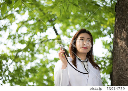 ポーズ 美しさ 女性 53914729