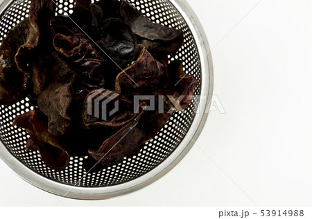 生きくらげ 53914988