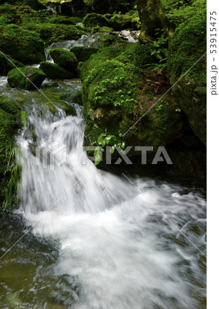 御岳山ロックガーデンの渓流 53915475