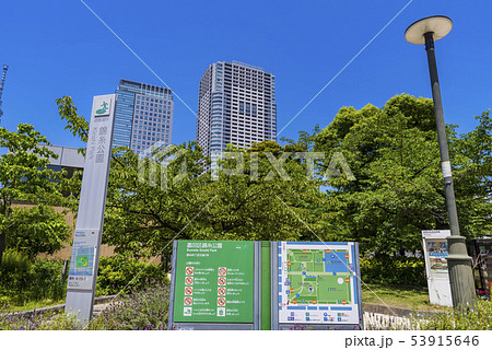 錦糸公園の風景 錦糸公園の風景 53915646