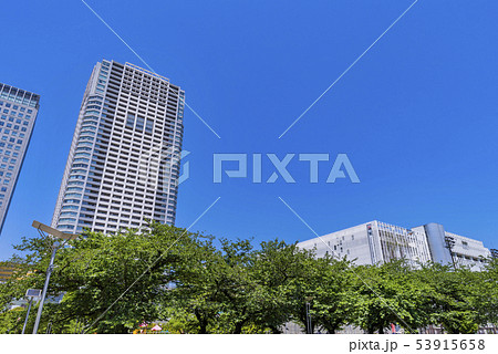 錦糸公園の風景 錦糸公園の風景 53915658