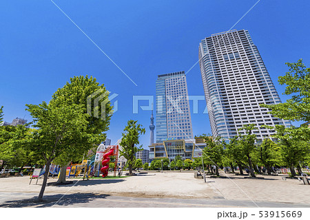 錦糸公園の風景 錦糸公園の風景 53915669