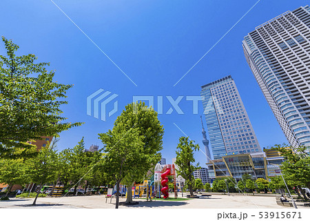 錦糸公園の風景 錦糸公園の風景 53915671