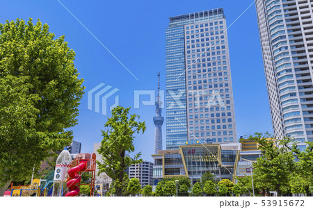 錦糸公園の風景 錦糸公園の風景 53915672
