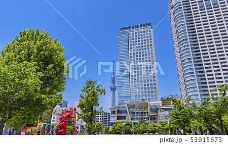 錦糸公園の風景 錦糸公園の風景 53915673