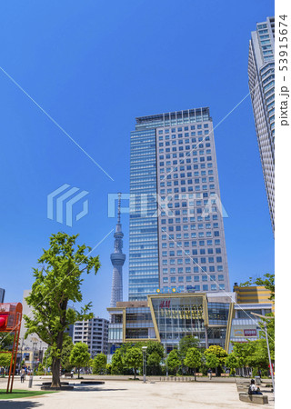 錦糸公園の風景 53915674