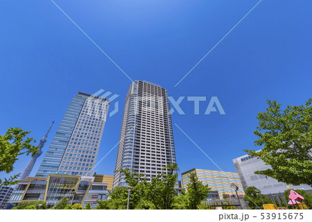 錦糸公園の風景 錦糸公園の風景 53915675