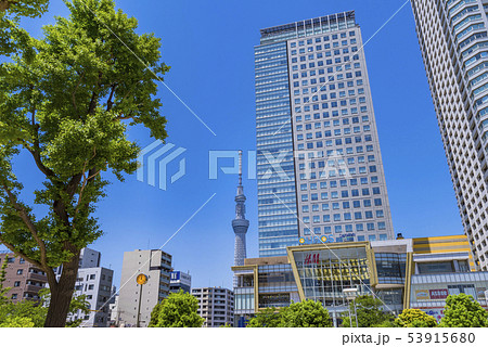 錦糸公園の風景 錦糸公園の風景 53915680