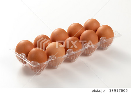 卵 卵 53917606
