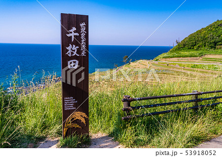 （石川県）田植の済んだ、白米千枚田 53918052
