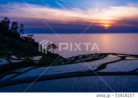 (石川県)田植の済んだ、白米千枚田・夕陽 (石川県)田植の済んだ、白米千枚田・夕陽 53918257