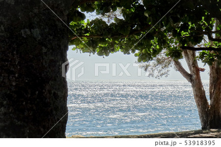 オーストラリア バイロンベイの光る海 オーストラリア バイロンベイの光る海 53918395