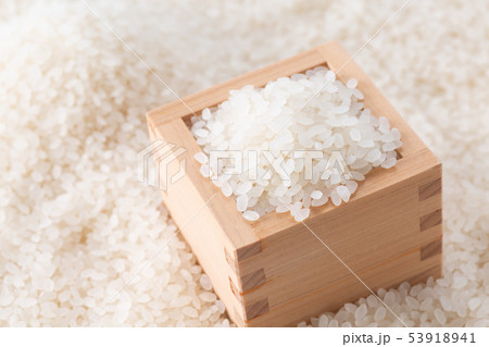 米 米 53918941