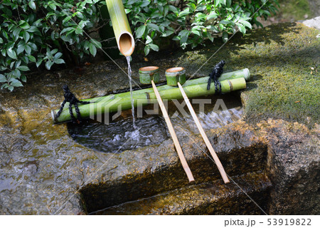 龍安寺境内の手水-2 53919822