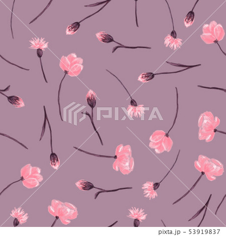Meadow floral pattern 53919837