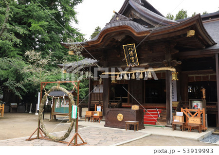 水戸八幡神社の紫陽花 茨城県水戸市 水戸八幡神社の紫陽花 茨城県水戸市 53919993