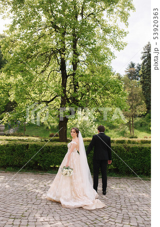 Groom and bride standing by the big tree in the park Groom and bride standing by the big tree in the park 53920363