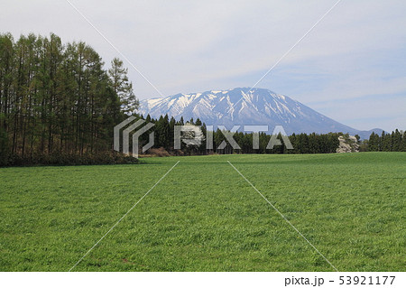 小岩井農場の春 53921177