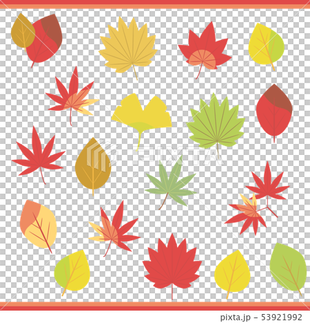 秋の落ち葉セットフチなし もみじ いちょう かえで のイラスト素材