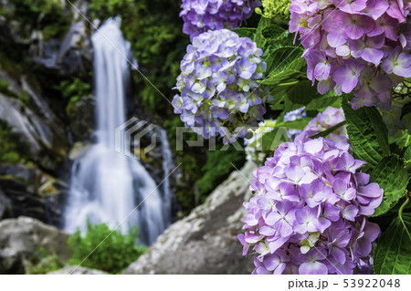 佐賀県唐津市の美しい見帰りの滝 あじさいまつりの写真素材