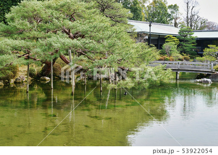 平安神宮神苑(京都) 平安神宮神苑(京都) 53922054