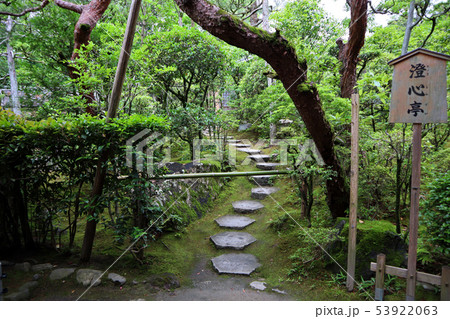 平安神宮菖蒲 平安神宮菖蒲 53922063