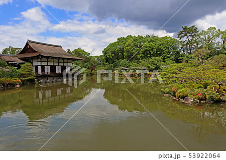 平安神宮菖蒲 平安神宮菖蒲 53922064