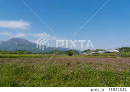 春の伊吹山と東海道新幹線N700系 53922381