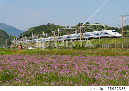 東海道新幹線N700系とレンゲ畑 東海道新幹線N700系とレンゲ畑 53922383