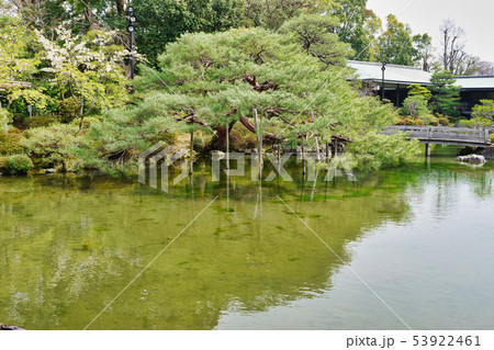平安神宮神苑(京都) 平安神宮神苑(京都) 53922461