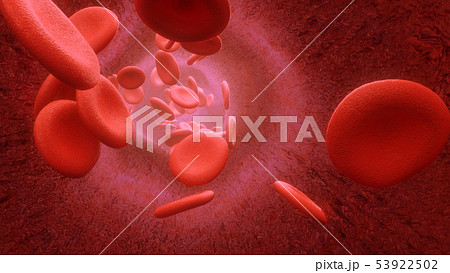 Blood cells flying through arteries or viens Blood cells flying through arteries or viens 53922502