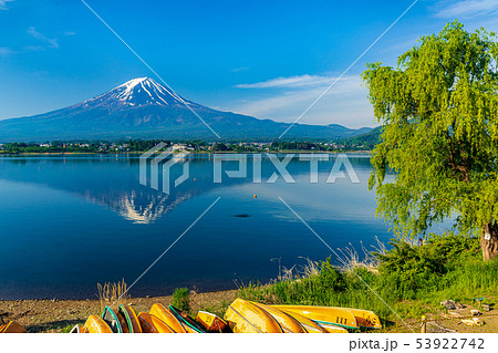河口湖畔の柳と富士山 河口湖畔の柳と富士山 53922742