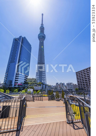 押上駅前の風景 東京スカイツリーとイーストタワー 押上駅前の風景 東京スカイツリーとイーストタワー 53923334