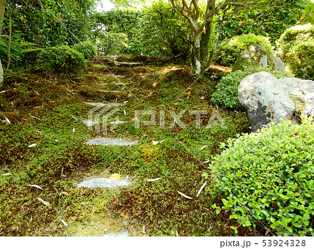 坂本　里坊庭園　寿量院 53924328