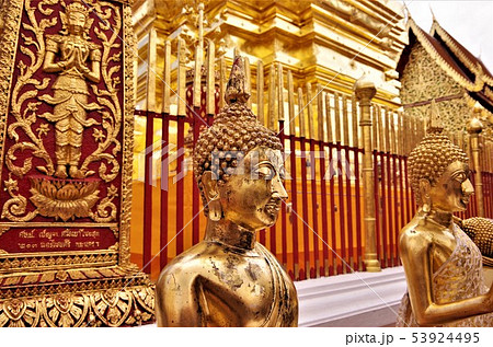 金色に輝くタイ仏教寺院の仏像・イメージ (チェンマイ) 金色に輝くタイ仏教寺院の仏像・イメージ (チェンマイ) 53924495