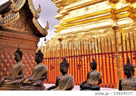 黄金色に輝くタイ仏教寺院の仏塔と仏像・イメージ （チェンマイ） 53924577