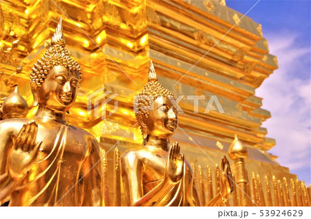 黄金色に輝くタイ仏教寺院の仏塔と仏像・イメージ (チェンマイ) 黄金色に輝くタイ仏教寺院の仏塔と仏像・イメージ (チェンマイ) 53924629