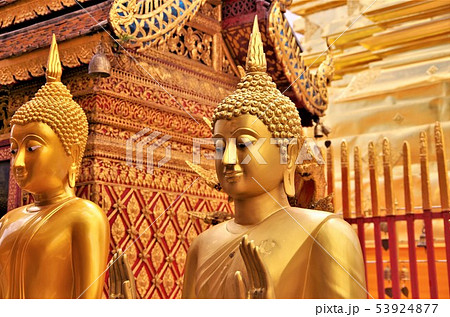 黄金色に輝くタイ仏教寺院の仏像・イメージ (チェンマイ) 黄金色に輝くタイ仏教寺院の仏像・イメージ (チェンマイ) 53924877