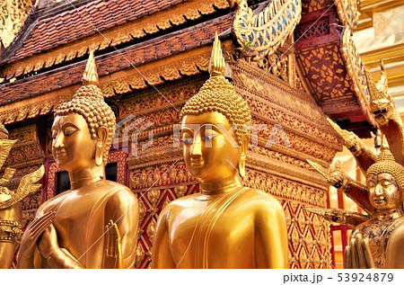 黄金色に輝くタイ仏教寺院の仏像・イメージ （チェンマイ） 53924879