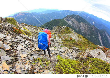 鶏冠 とさか クレスト 53925627