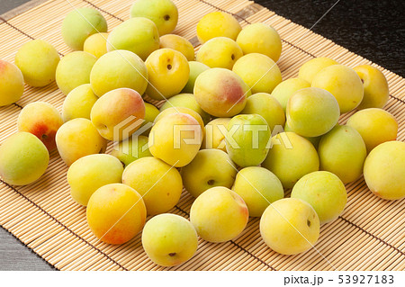 南高梅 南高梅 53927183